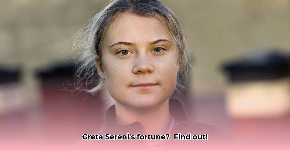 greta-sereni-net-worth
